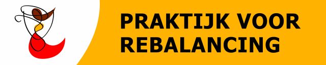 Logo Praktijk voor Rebalancing