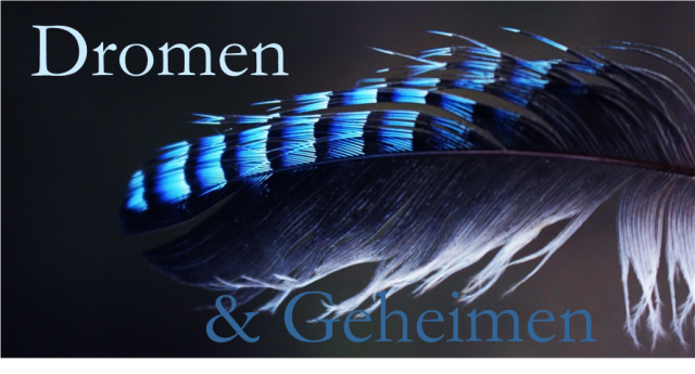 Logo Dromen & Geheimen praktijk voor zelfonderzoek