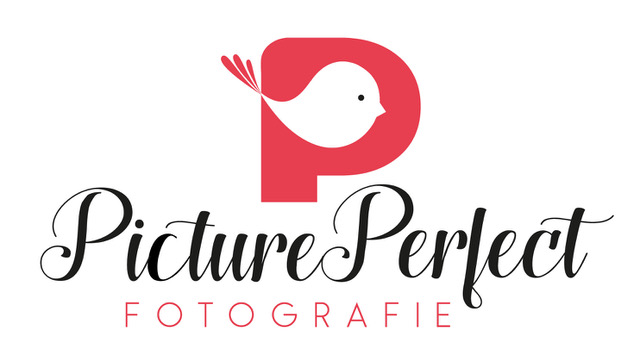 Logo Picture Perfect