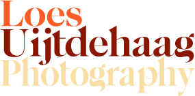 Logo Studio Uijtdehaag